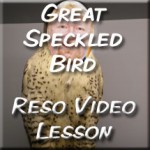 GreatSpeckledBird