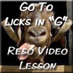 Licks in G
